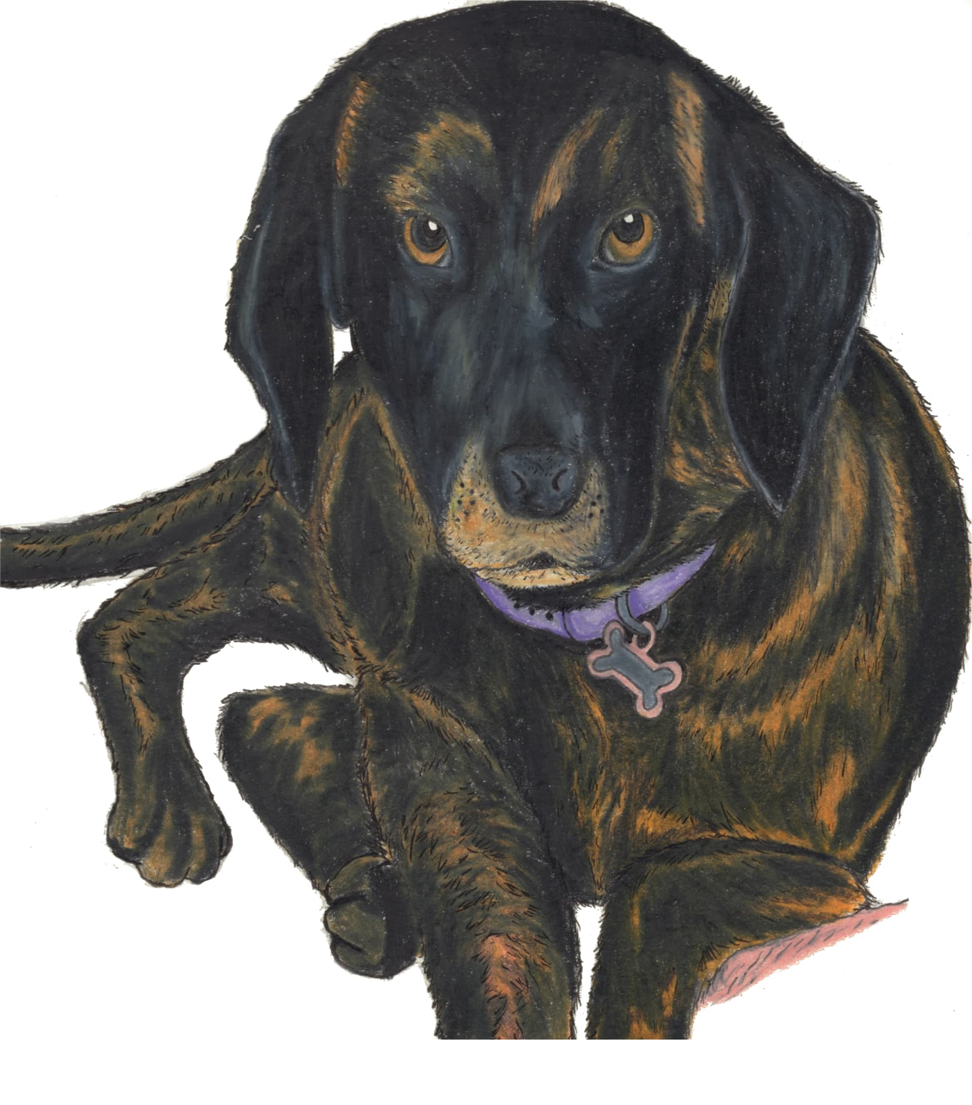 Cover Image for Eliza
