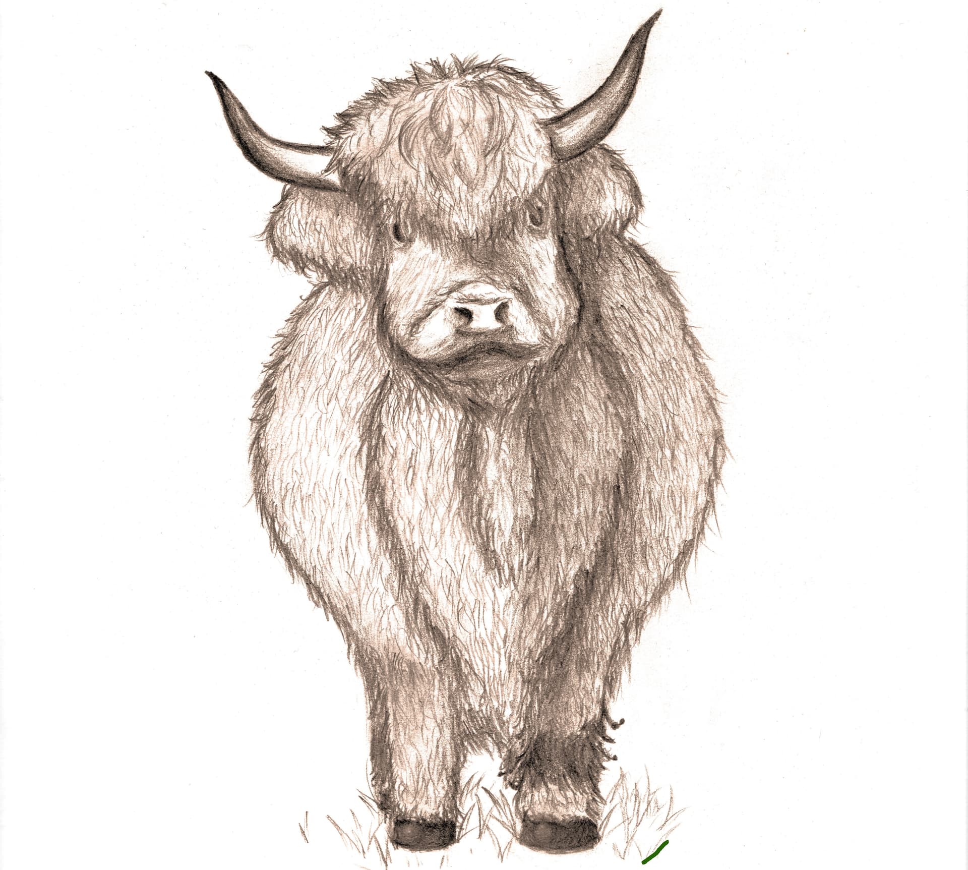 Cover Image for Moo!