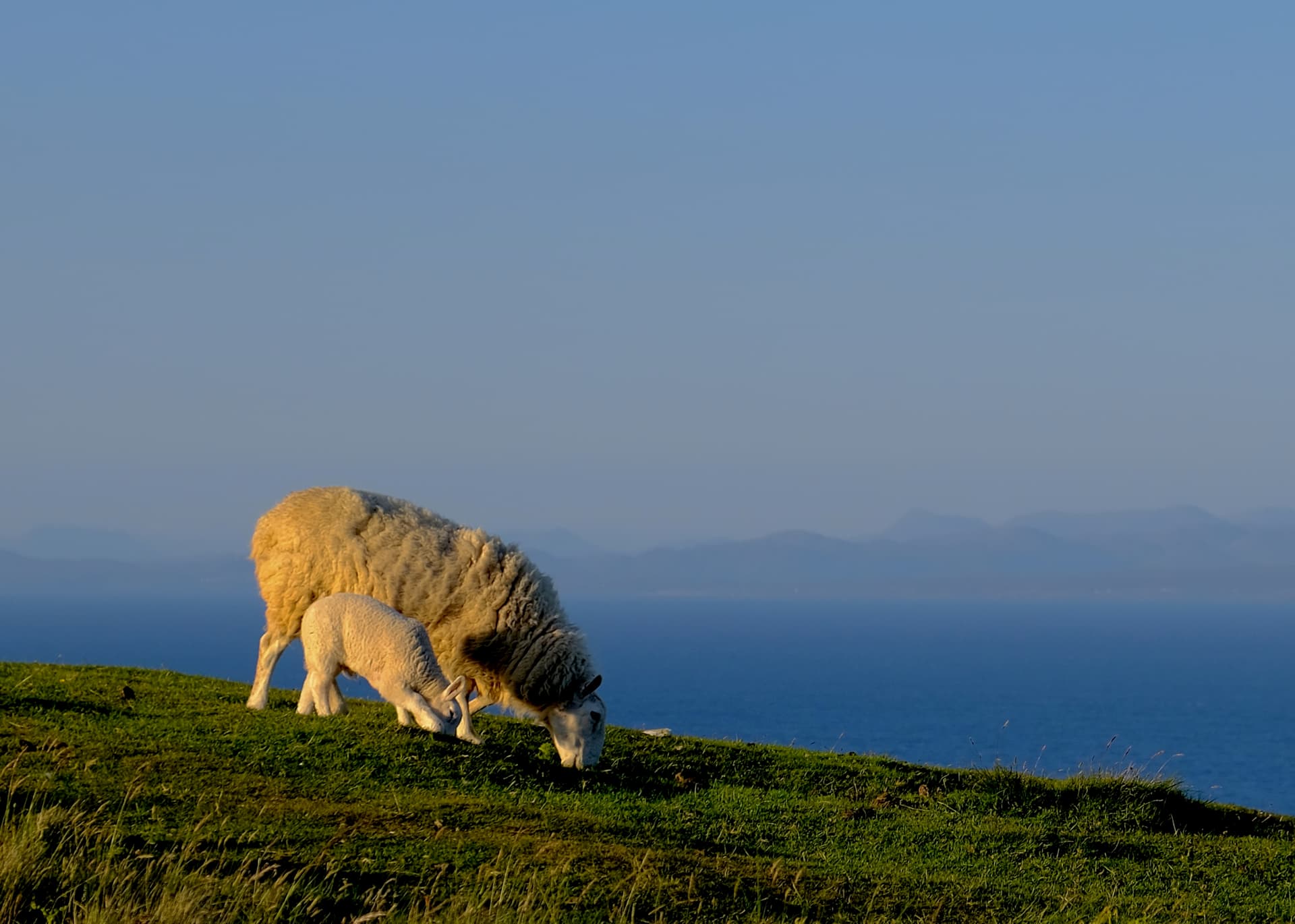 Cover Image for Family Dinner, Skye